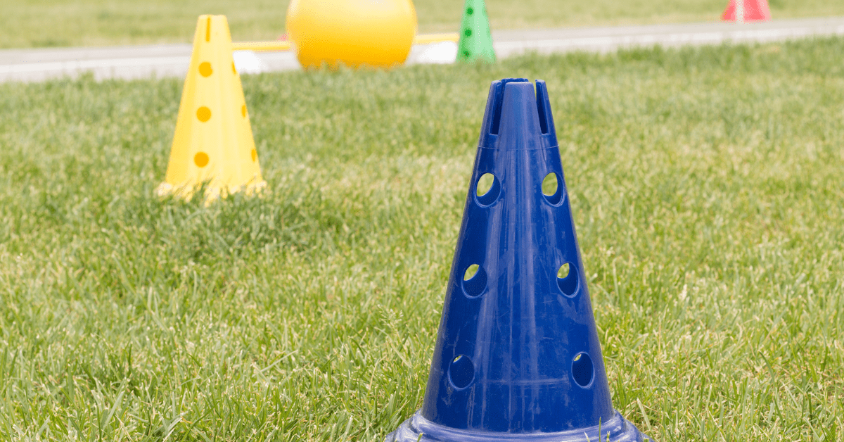 Blog banner grass field with cones